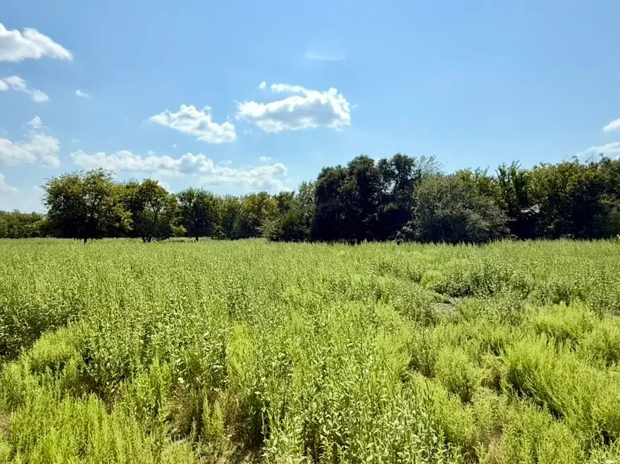 8796 Griffin Lane, Crandall, TX 75114 - Image #1