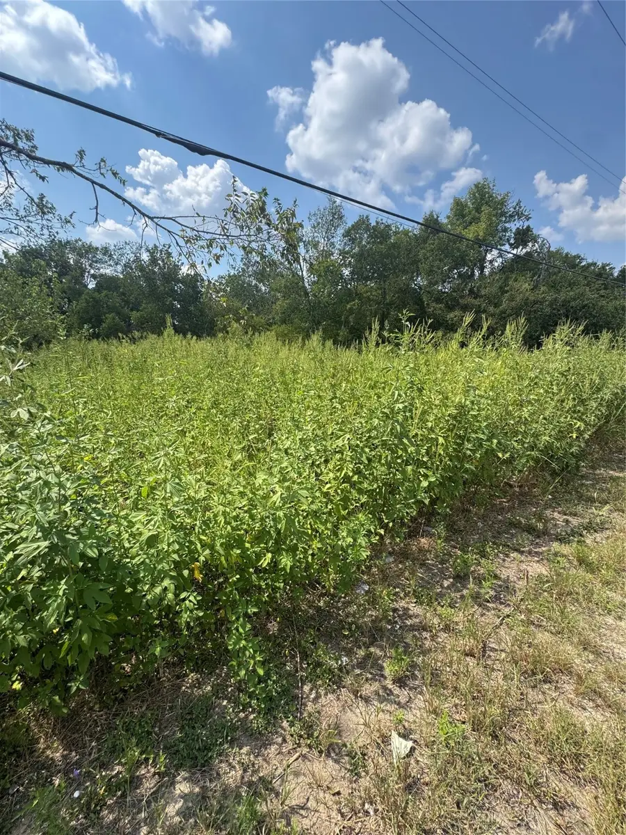 303 N Waco St, Mart, TX 76664 - Image #3