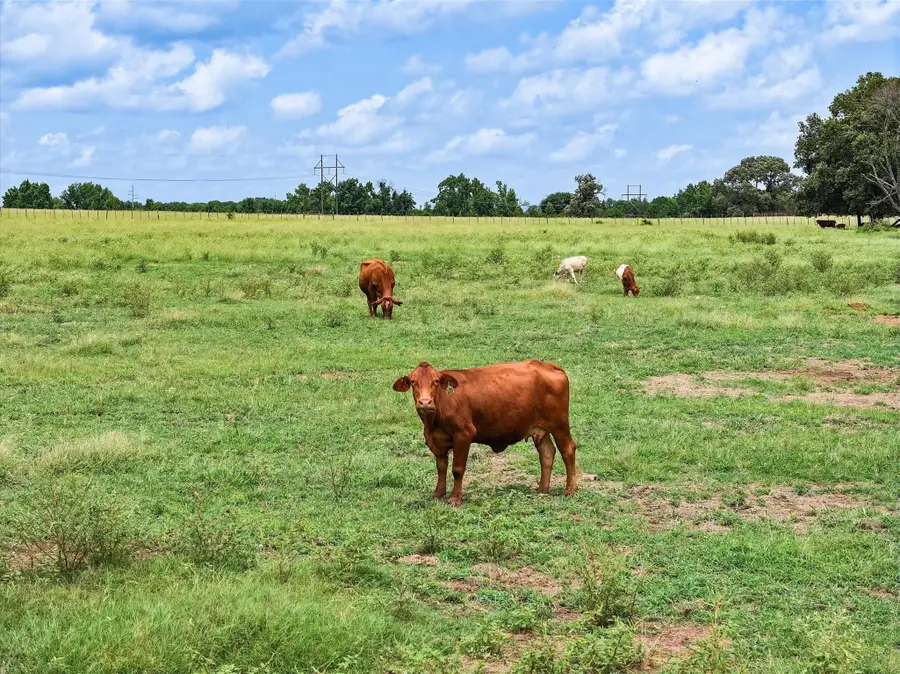 Tract 2 Fm 855, Jacksonville, TX 75766 - Image #3