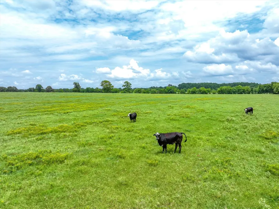 Tract 6 Fm 855, Jacksonville, TX 75766 - Image #3