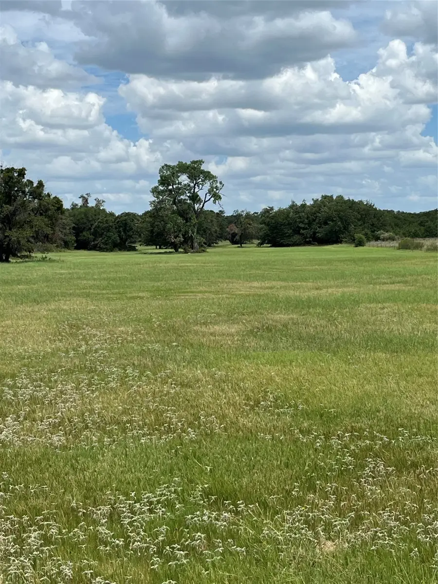 300 Chandler Road, Lipan, TX 76462 - Image #3