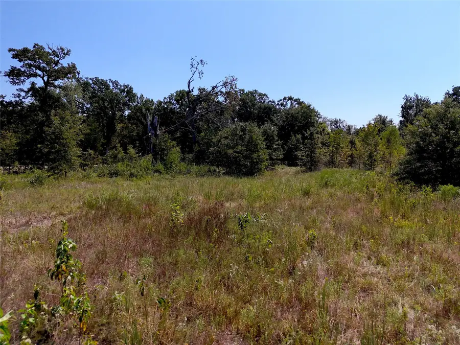 7000 Cr 1060, Talco, TX 75487 - Image #3