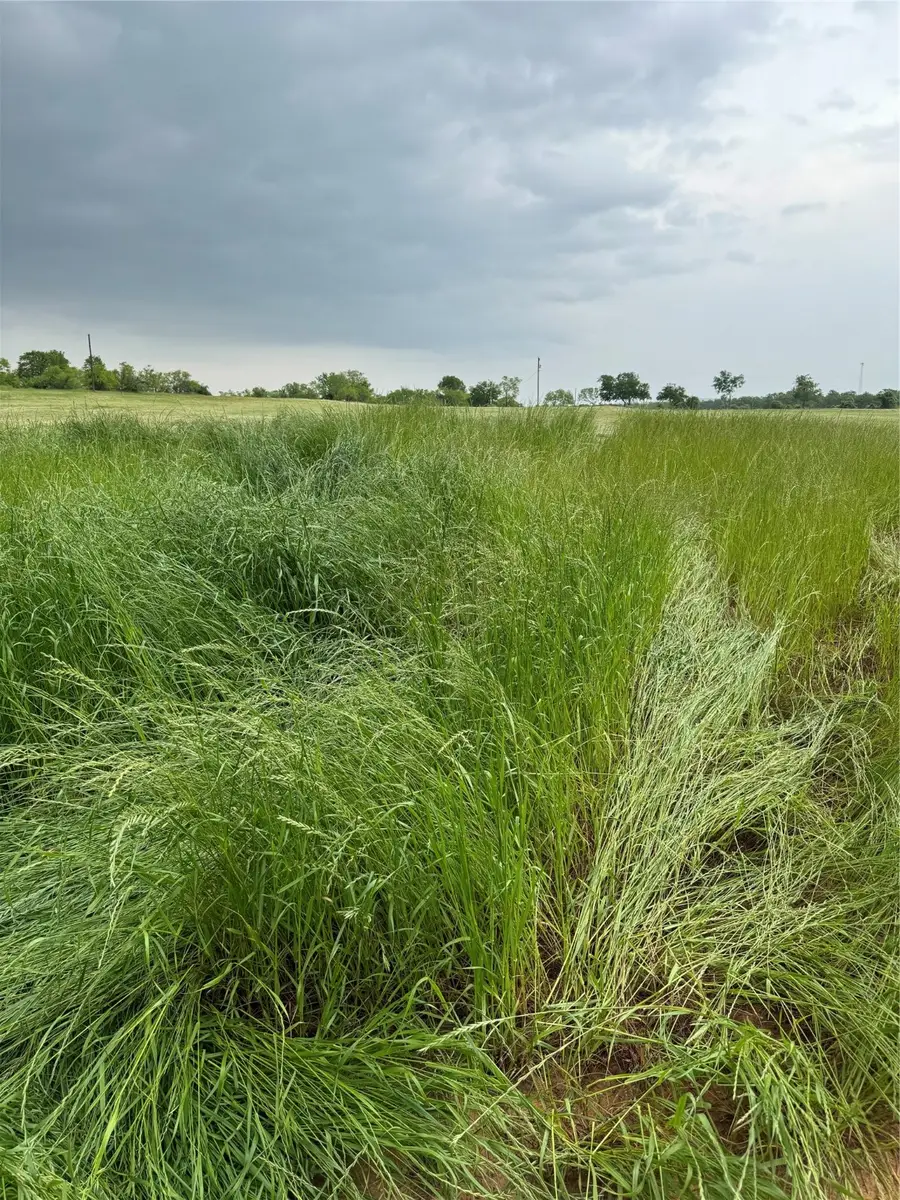 298 Cr 3735 Road, Bridgeport, TX 76426 - Image #3