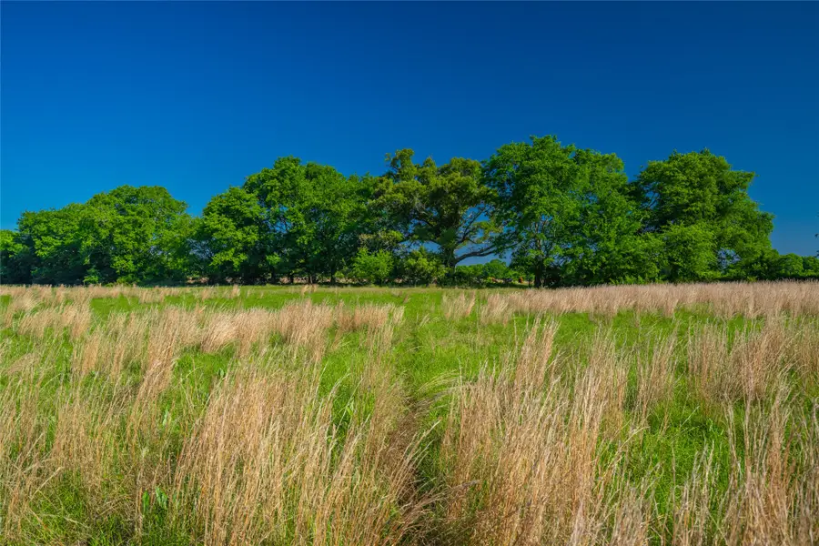 0 County Road 2592, Naples, TX 75568 - Image #2