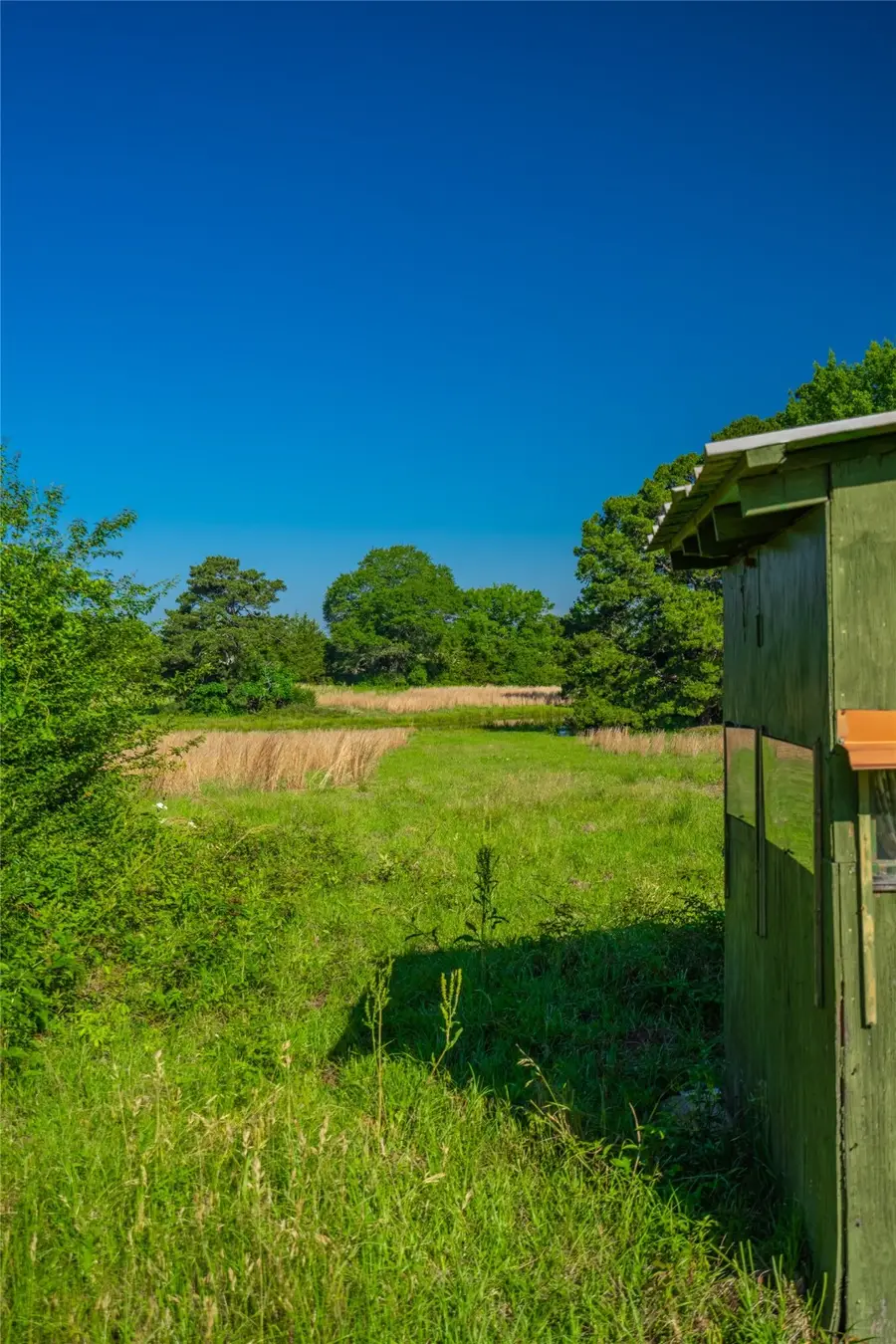 0 County Road 2592, Naples, TX 75568 - Image #3