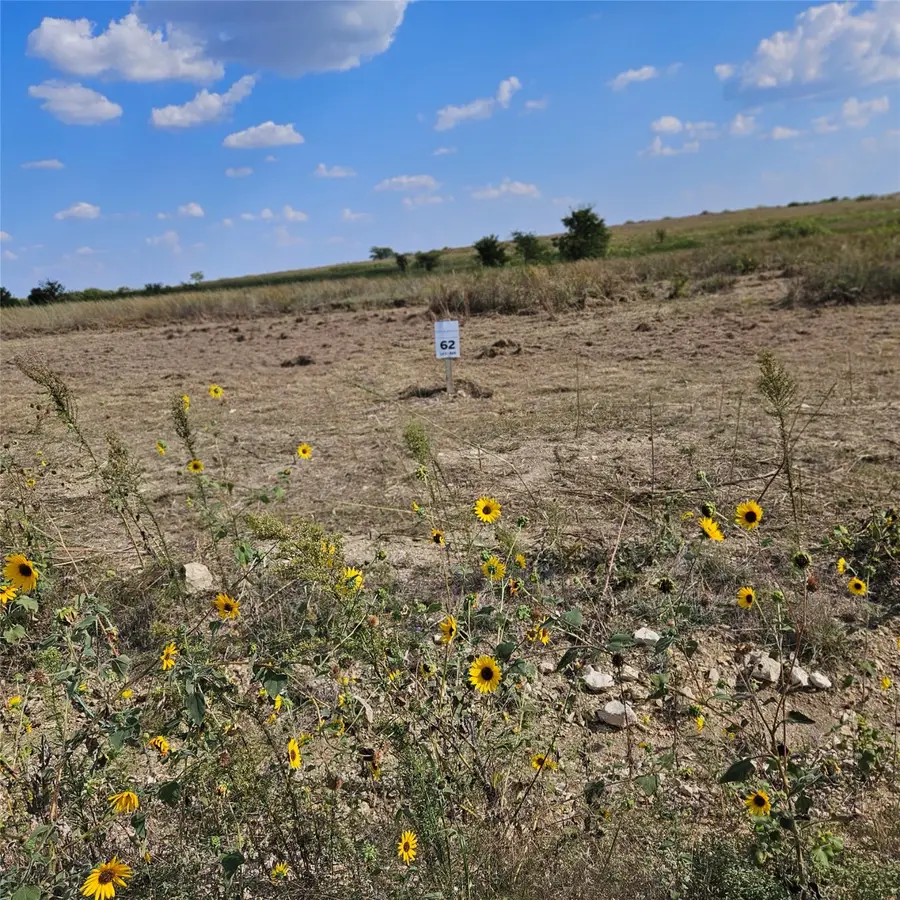 3305 Bounty Drive, Granbury East, TX 76035 - Image #3