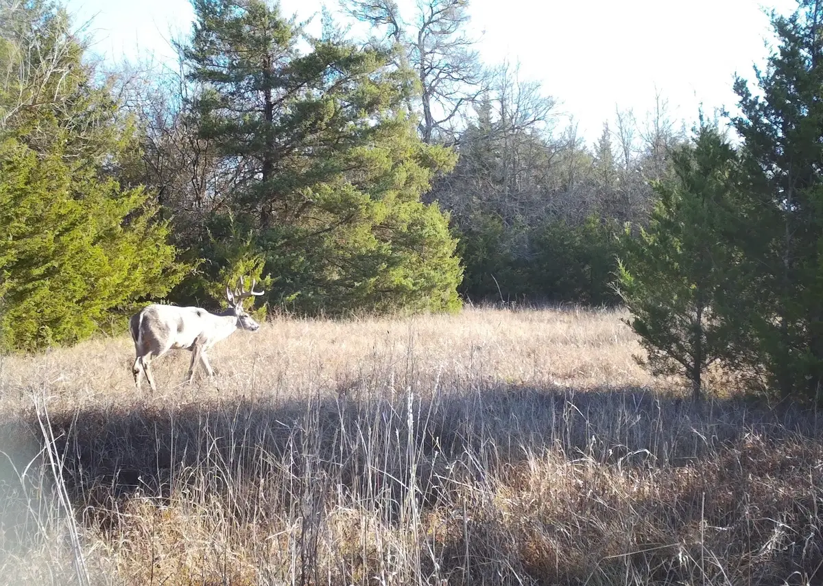 80048 County Road 24200, Roxton, TX 75477 - Image #1