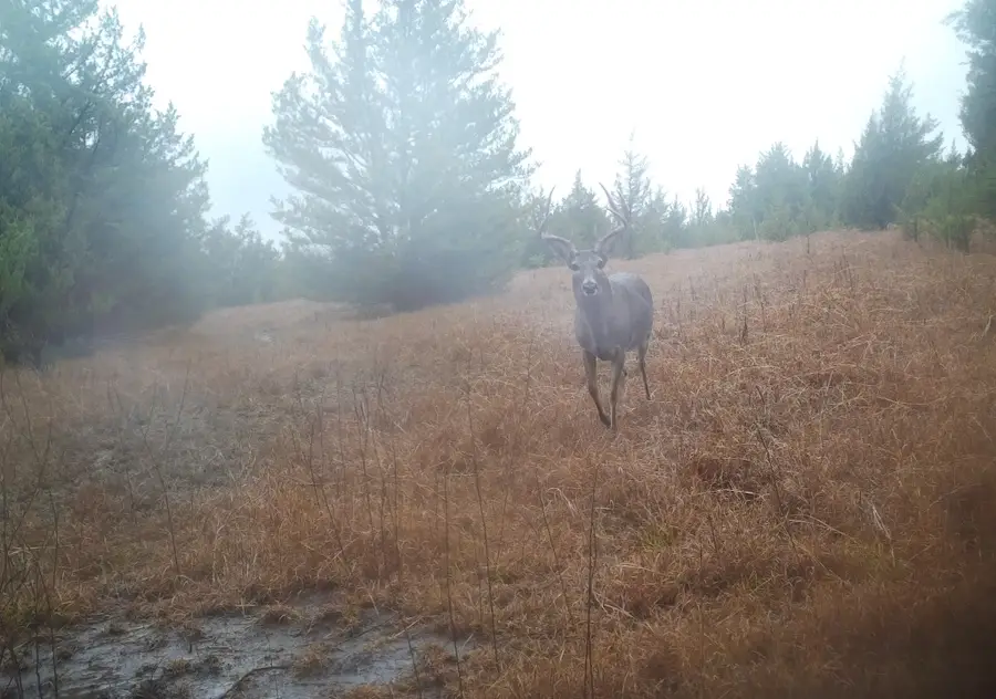 80048 County Road 24200, Roxton, TX 75477 - Image #3