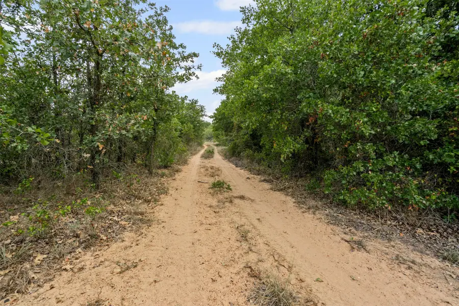 451 County Road 4975, Desdemona, TX 76445 - Image #2