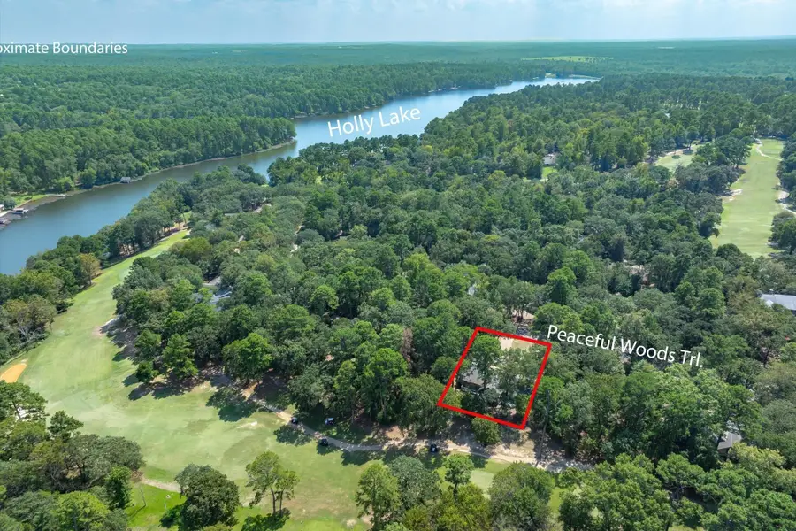 257 Peaceful Woods Trail, Holly Lake Ranch, TX 75765 - Image #3