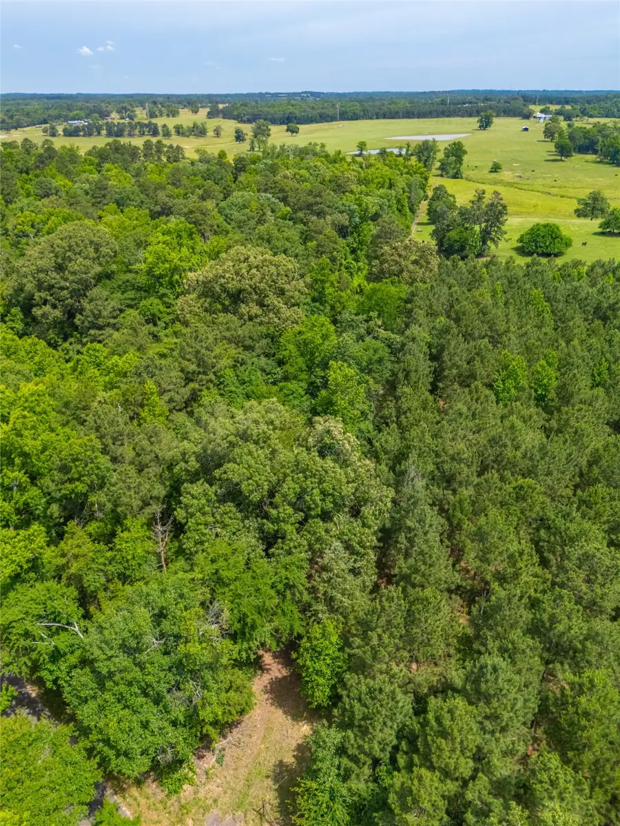 4206 Gilliam Lane, Naples, TX 75568 - Image #3