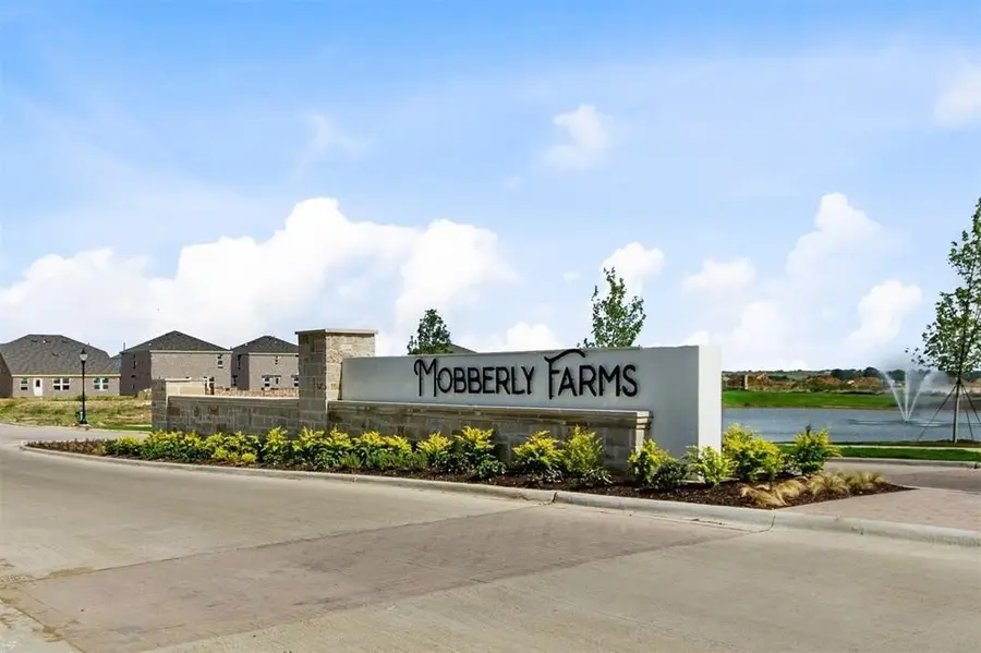 14219 Aberavon Drive, Pilot Point, TX 76258 - #3