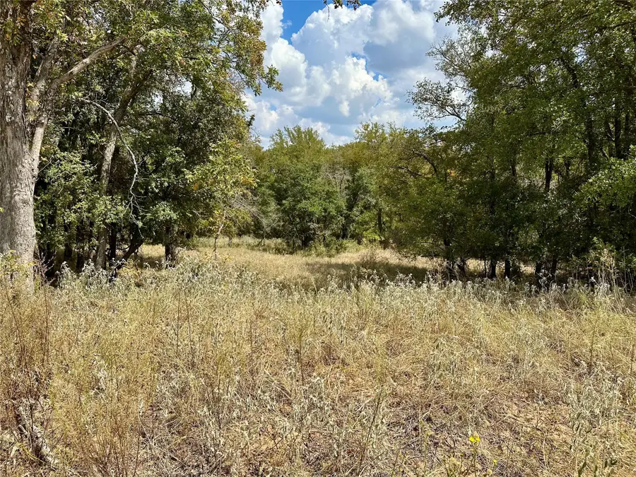 TBD Cr 323, Hasse, TX 76442 - Image #2