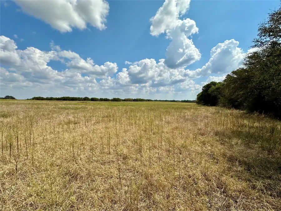 TBD Cr 323, Hasse, TX 76442 - Image #3