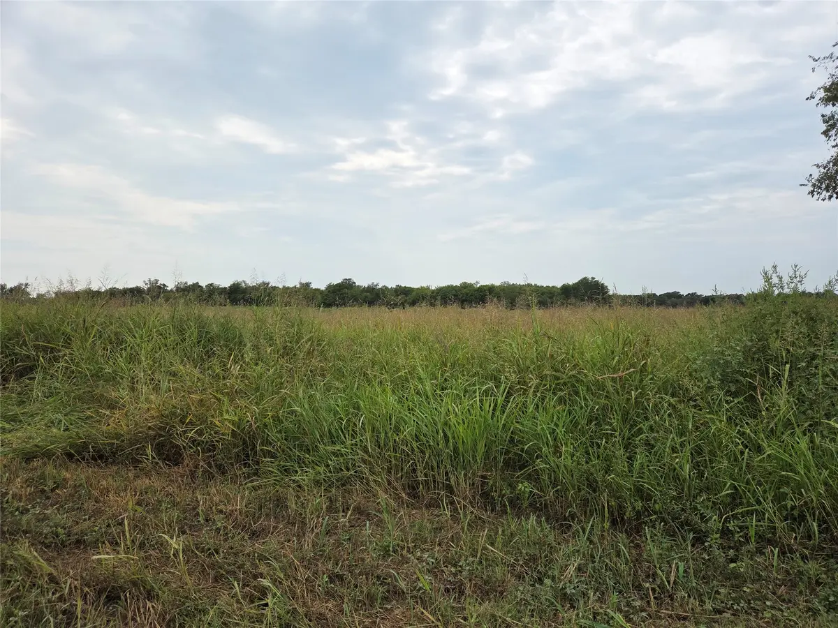 TBD County Road 3615, Honey Grove, TX 75446 - Image #1