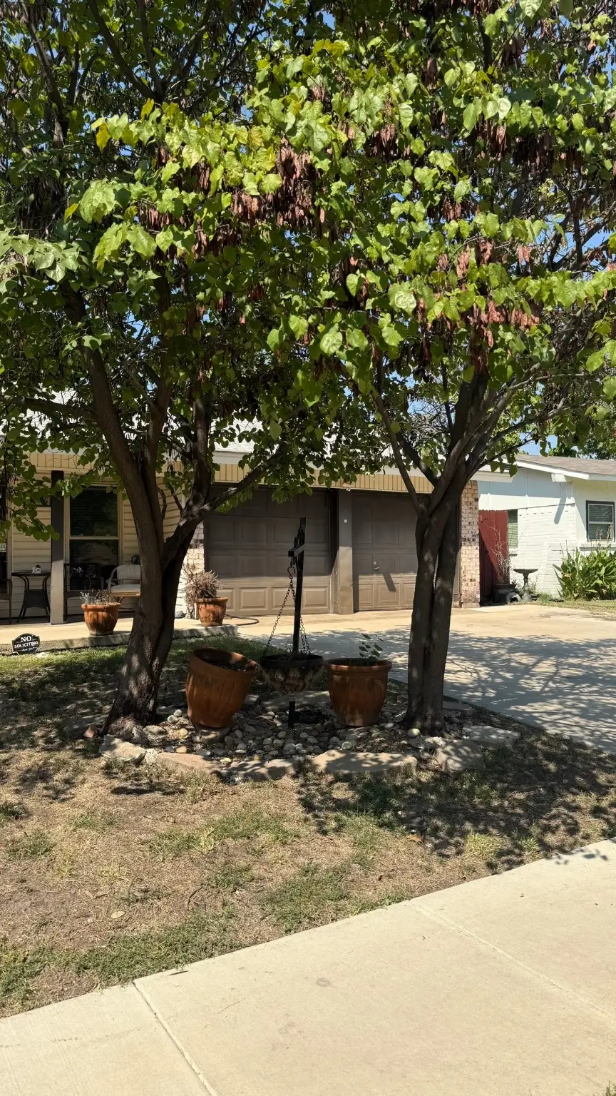 1206 Milam Way, Carrollton, TX 75006 - Image #3