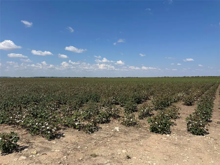 952 Pr 2179, Wingate, TX 79566 - Image #2