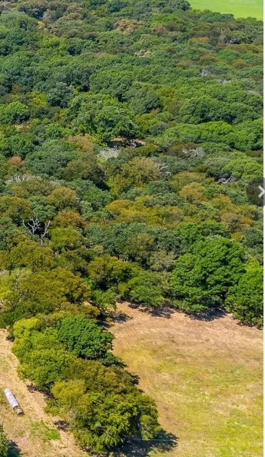 8024 County Road 204 Road, Grandview, TX 76050 - Image #3