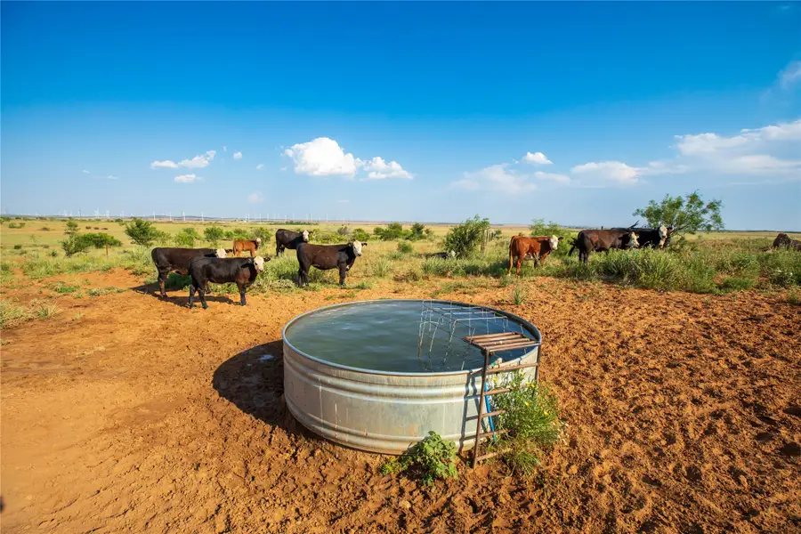 TBD County Road 458, Colorado City, TX 79512 - Image #2