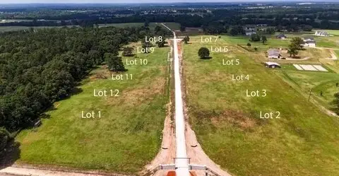 Lot 3 Windy Lane Drive, Bullard, TX 75757 - Image #3