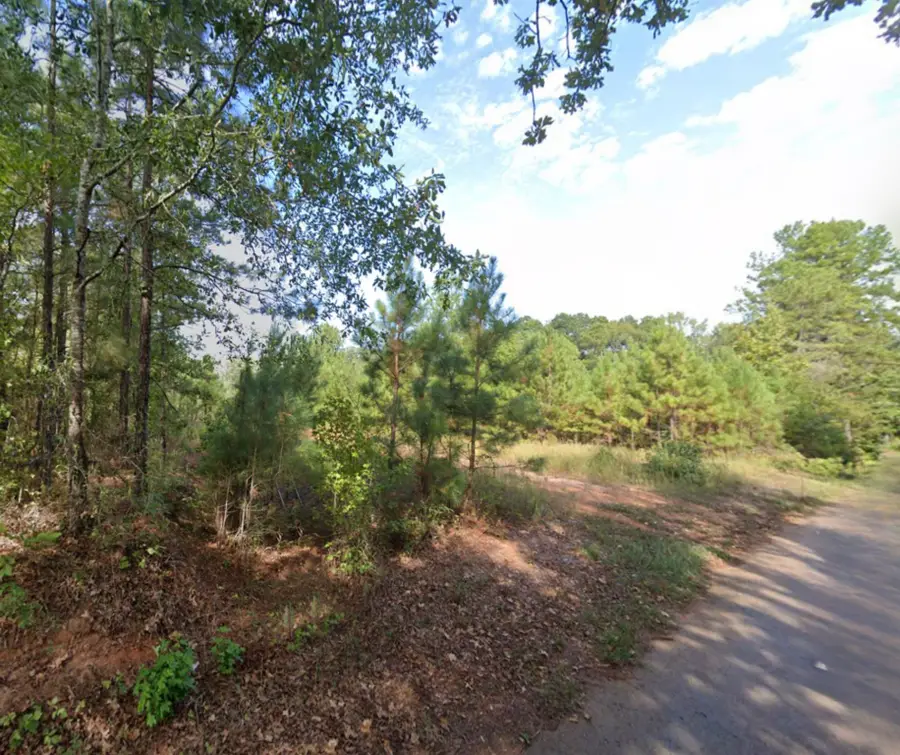 0 Jewell Gooch Road, Marshall, TX 75670 - Image #2