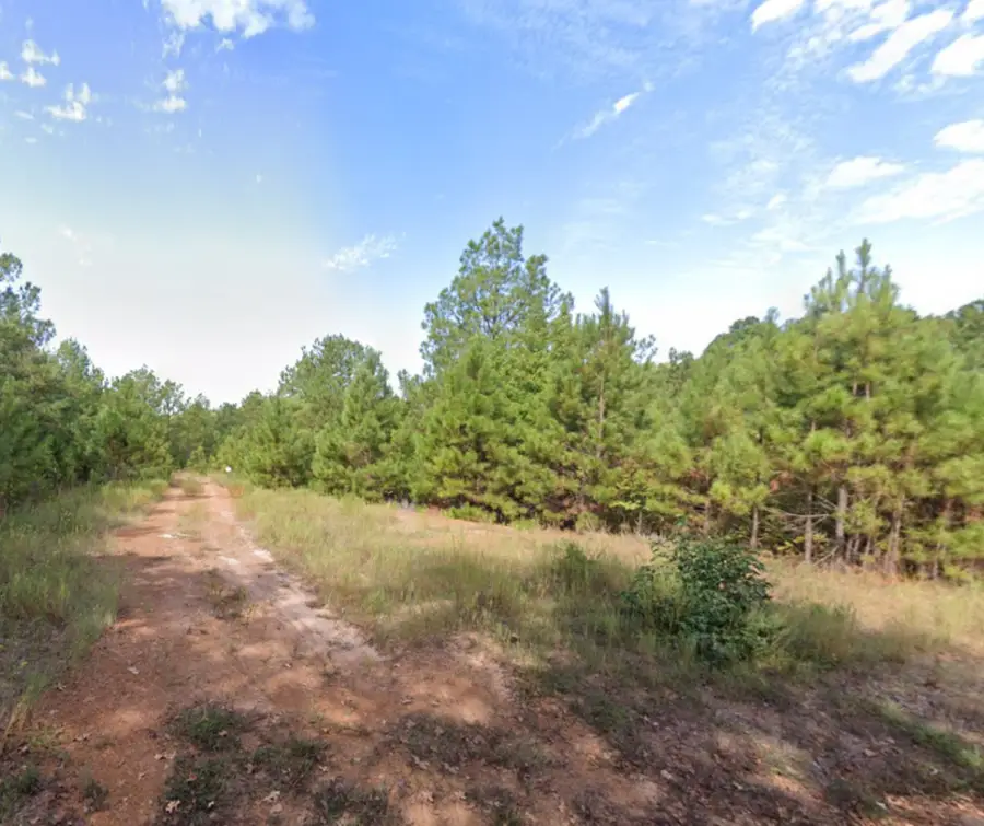 0 Jewell Gooch Road, Marshall, TX 75670 - Image #3
