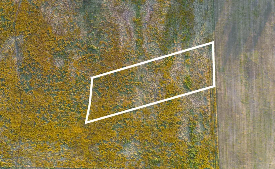 Lot 14 S Baese Road, Elm Mott, TX 76640 - Image #2