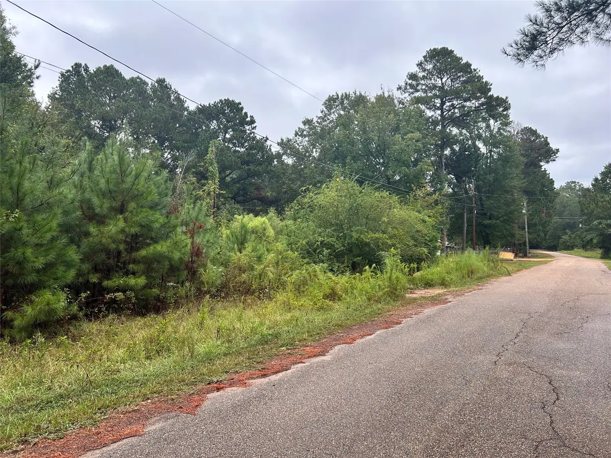 162 Lewis Loop, Cotton Valley, LA 71018 - #1