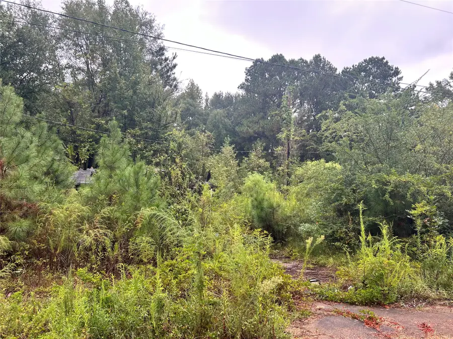 162 Lewis Loop, Cotton Valley, LA 71018 - #2
