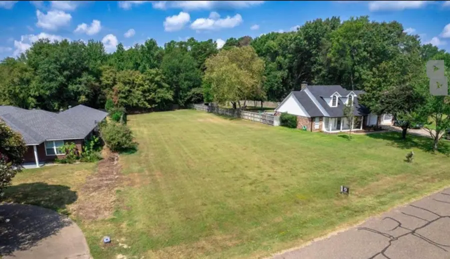 TBD Lot 19 Diamond Bay, Frankston, TX 75763 - Image #3