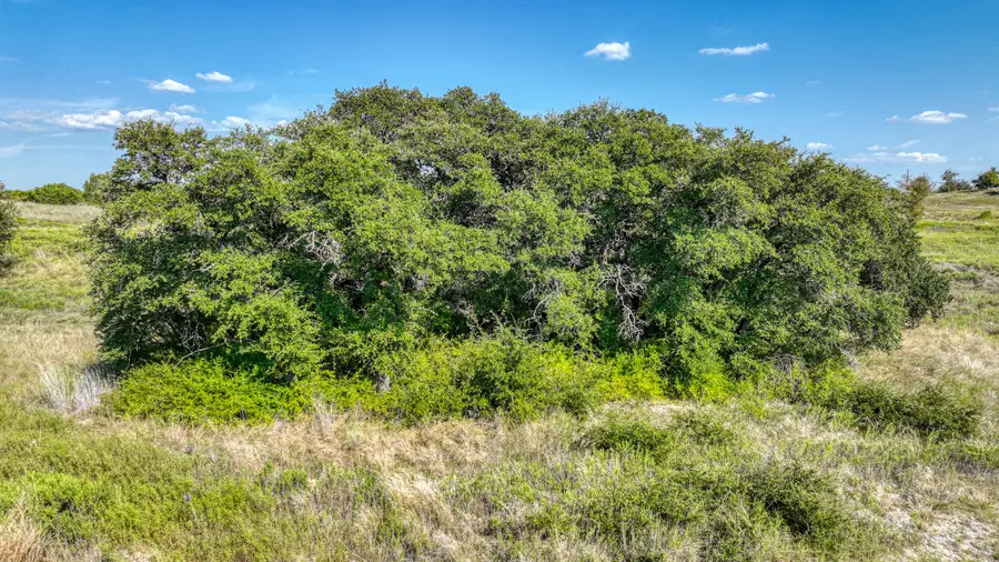 1051 Kingsley Court, Weatherford, TX 76087 - Image #2