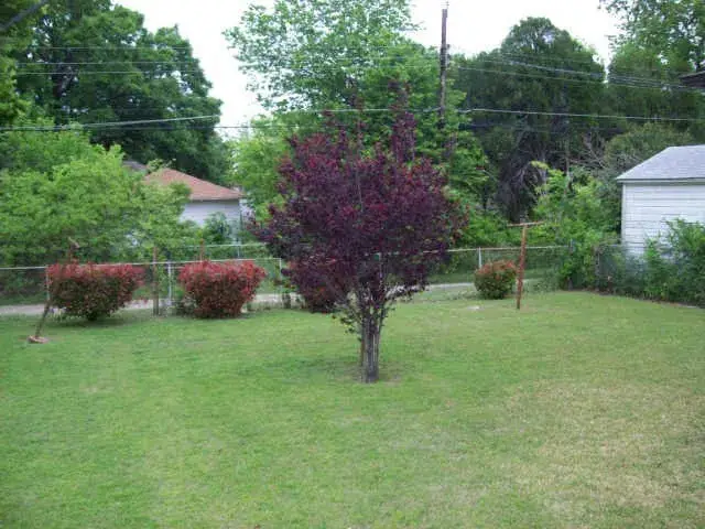 2703 Eagle Drive, Dallas, TX 75216 - Image #3