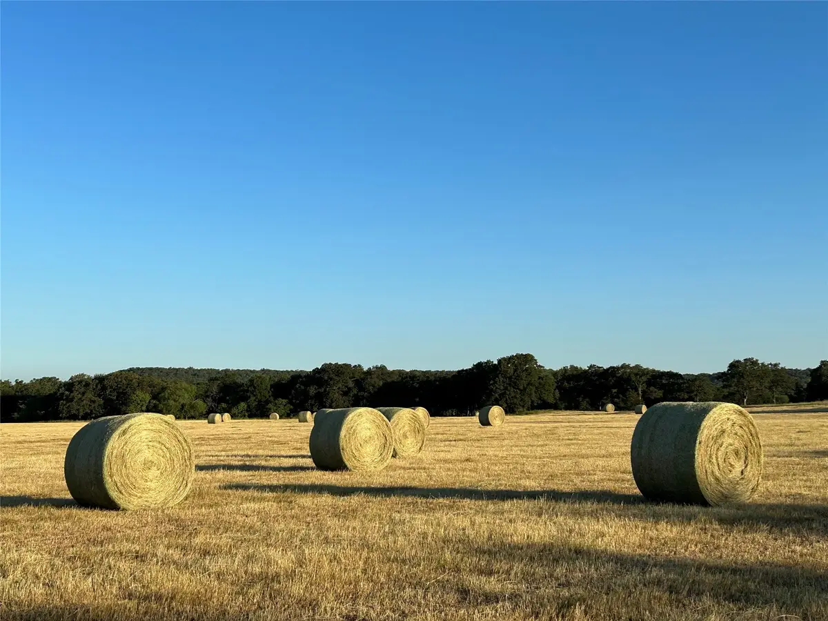 000b Wilson Bend Road, Millsap, TX 76066 - Image #1