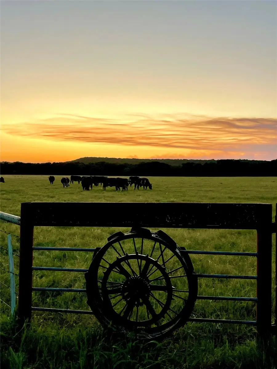 000b Wilson Bend Road, Millsap, TX 76066 - Image #3