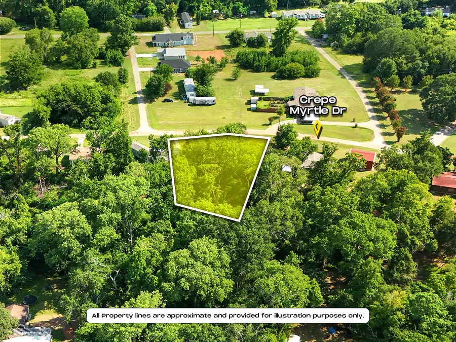 312 Crepe Myrtle Drive, Bullard, TX 75757 - Image #2