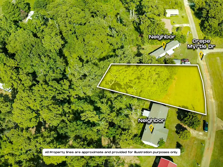 312 Crepe Myrtle Drive, Bullard, TX 75757 - Image #3