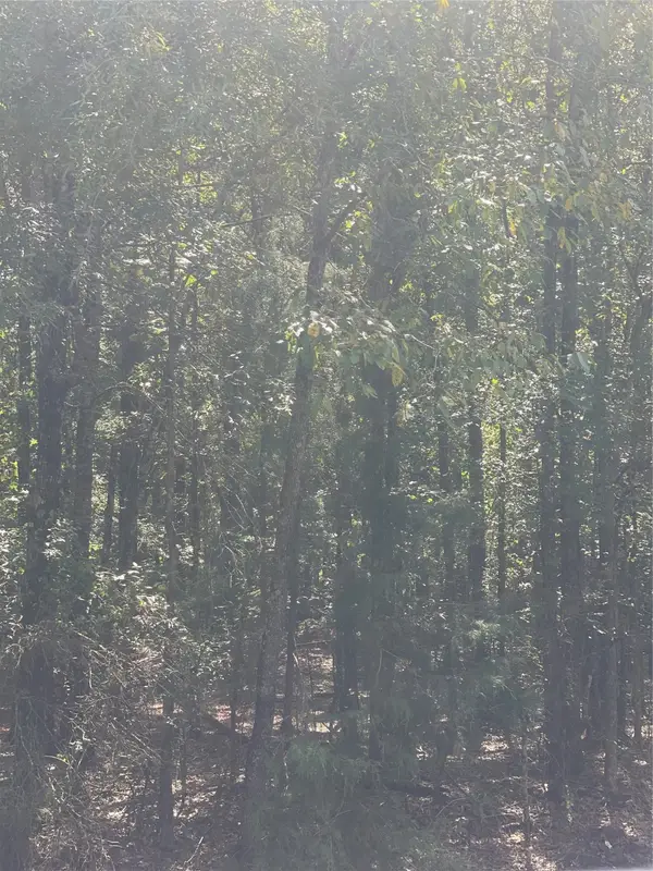 0 Ferry Lake Tract E, Oil City, LA 71061