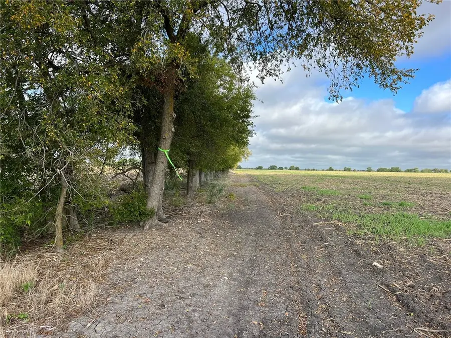 TBD Cr 117 Road, Rogers, TX 76569 - Image #2