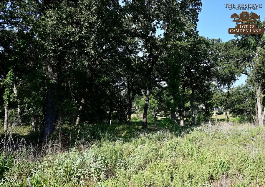Lot 72 Camden Lane, Springtown, TX 76082 - Image #3
