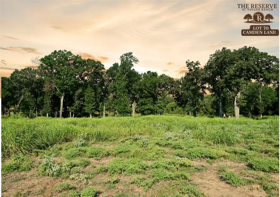 Lot 70 Camden Street, Springtown, TX 76082 - Image #3