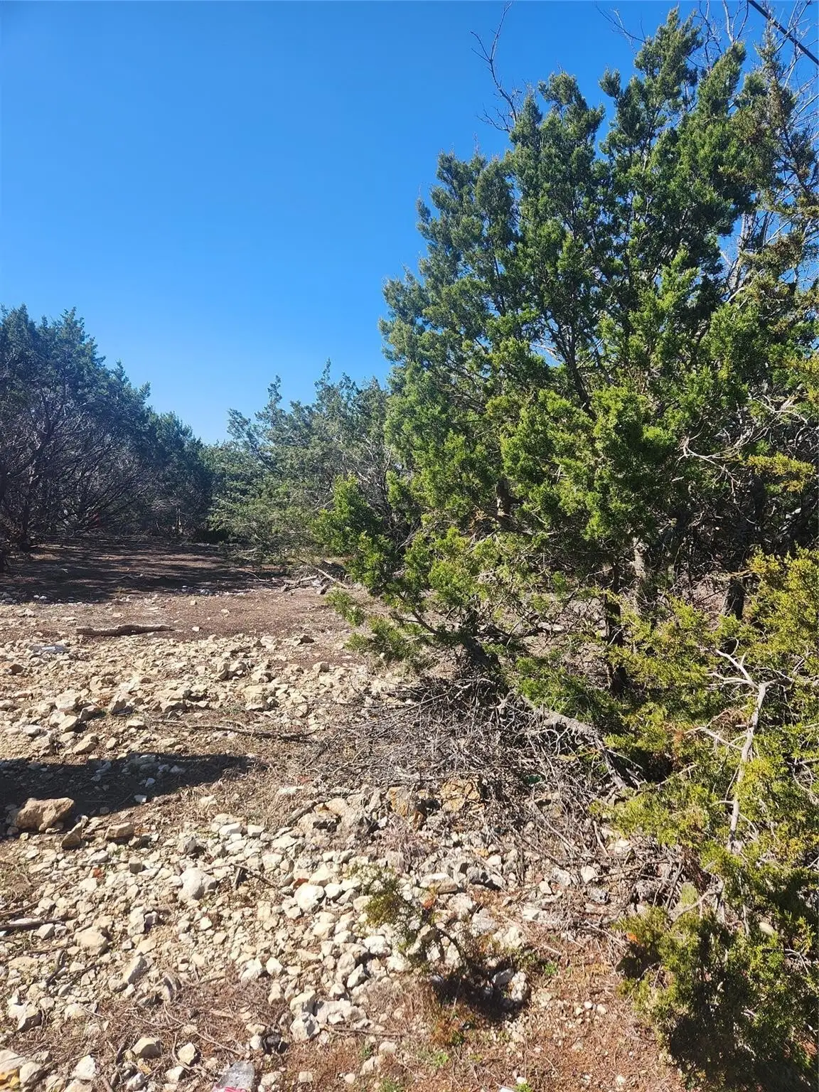 1005 Overhill Drive, Cleburne, TX 76033 - Image #1