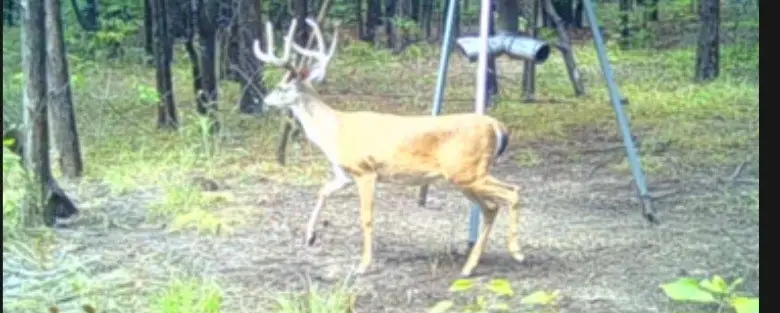 TBD Fm 2101, Quinlan, TX 75474 - Image #1