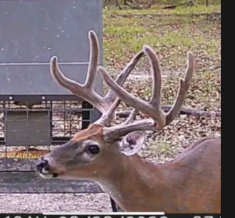 TBD Fm 2101, Quinlan, TX 75474 - Image #2