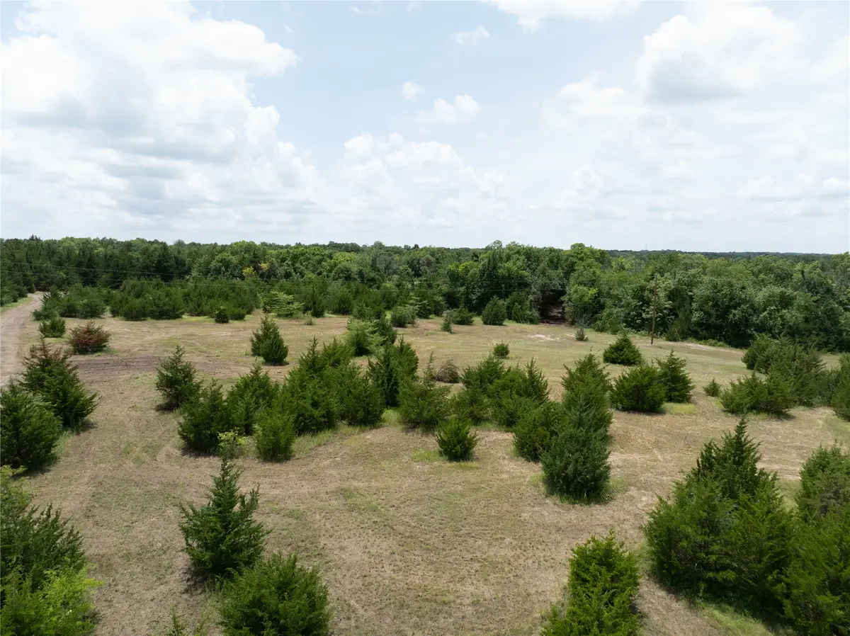 TBD TRACT 7 725 County Road 2997, Honey Grove, TX 75446 - Image #1