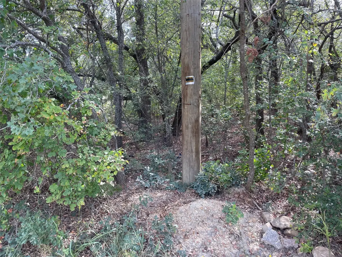 Lot 29 Brittons Lane, Runaway Bay, TX 76426 - Image #1