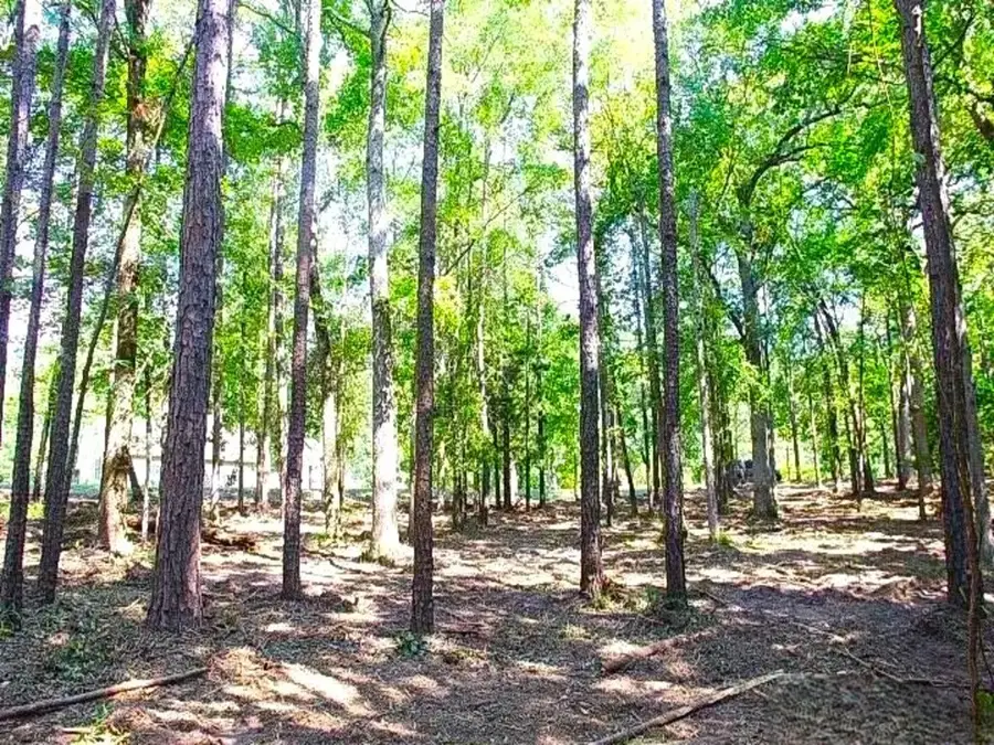 15349 Reserve Boulevard, Tyler, TX 75707 - Image #2