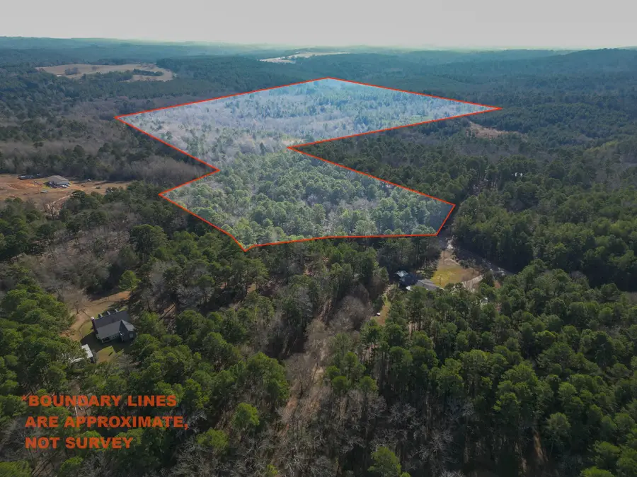 TBD Athens Church Road, Hallsville, TX 75650 - Image #2