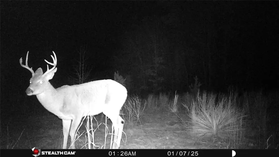 TBD Athens Church Road, Hallsville, TX 75650 - Image #3