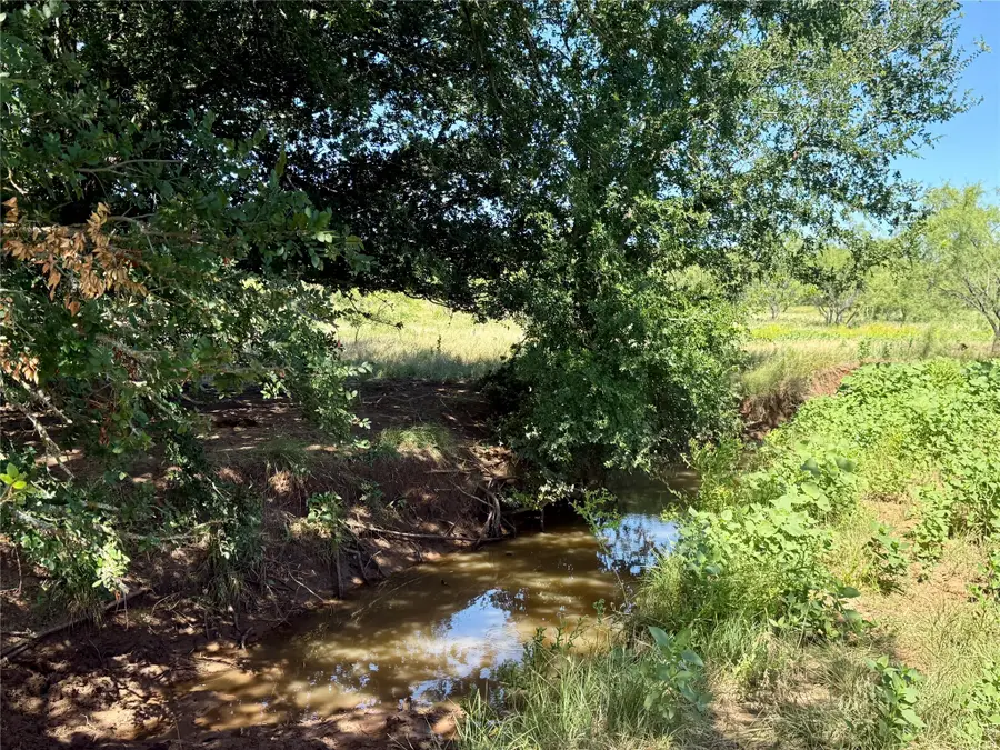 TBD County Road 121, Cross Plains, TX 76443 - Image #3
