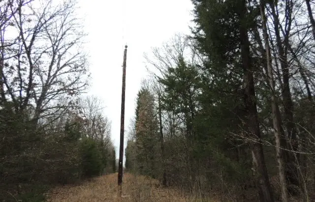 TBD County Road 4455, Point, TX 75472 - Image #2